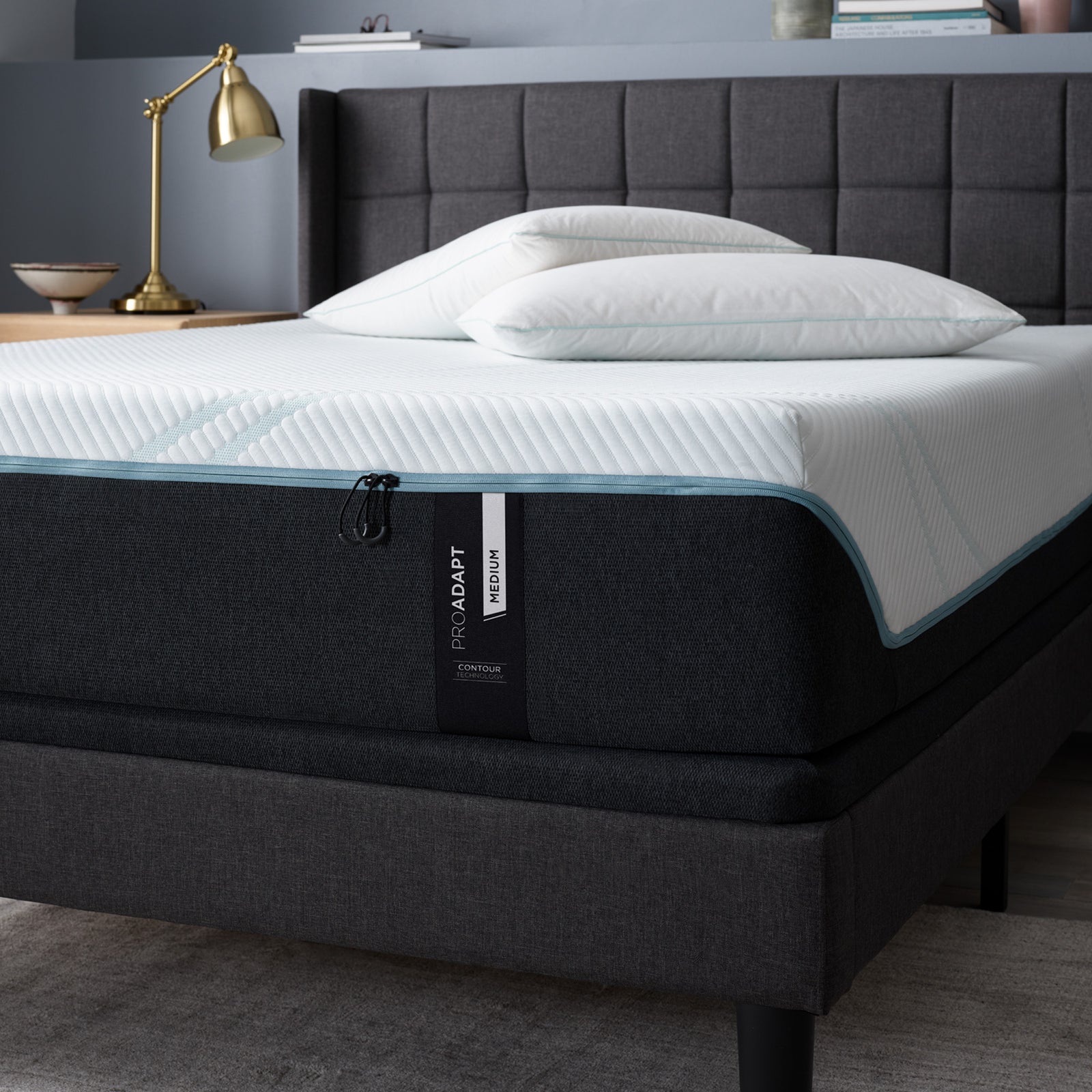 TEMPURPedic Mattress Knoxville TN Bed Store Knoxville Bed Store